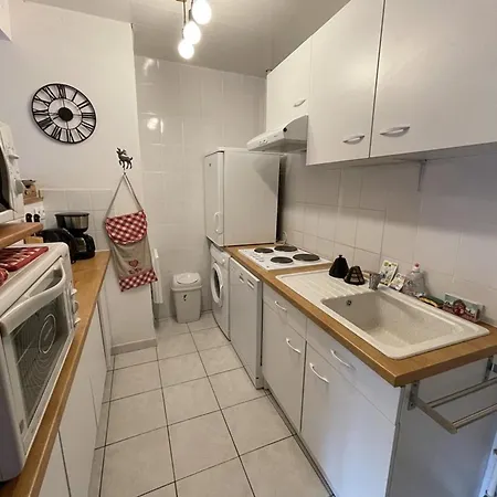 Renove Au Lioran Avec Animaux Acceptes - Fr-1-787-22 Apartamento Laveissière