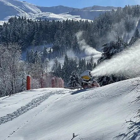 Renove Au Lioran Avec Animaux Acceptes - Fr-1-787-22 * Laveissière